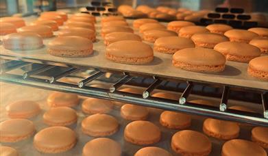 Macarons in the oven