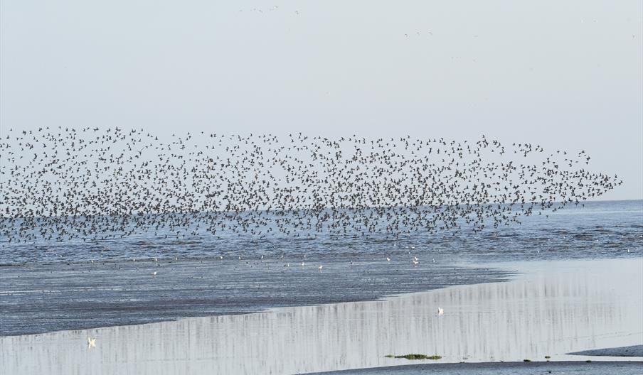 The Wader Spectacular, a sensory rollercoaster of twist and turn thrills