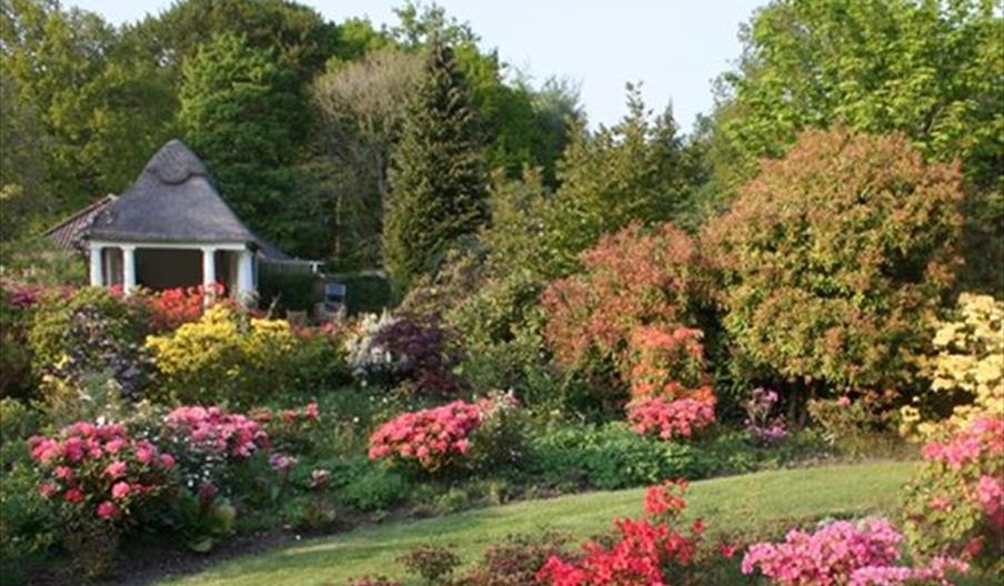 Family Fun Day taking place among the stunning Rhododendrons of Stody