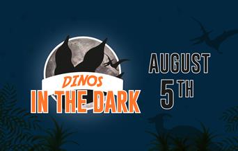 Dinos in the Dark