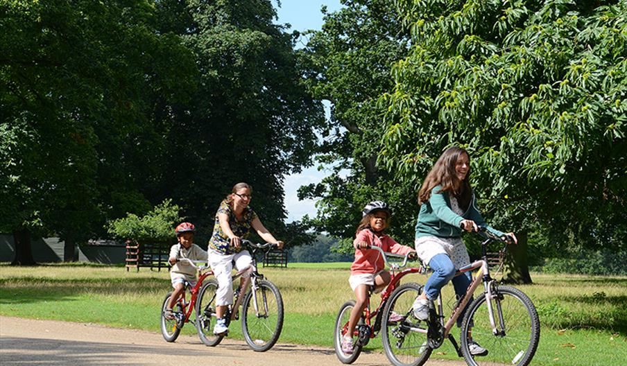 Holkham Cycle Hire