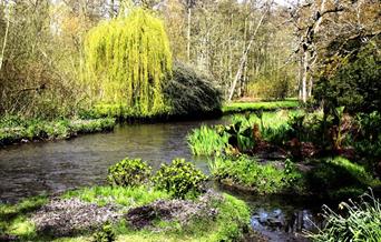 Fairhaven Woodland and Water Garden - Boat Trips