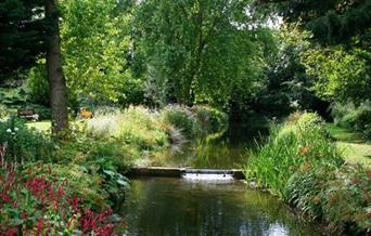 Gooderstone Water Gardens
