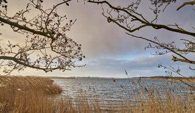 NWT Hickling Broad