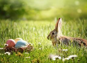 Easter inspire me