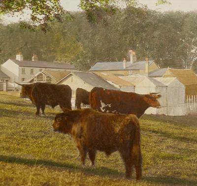 health and the countryside