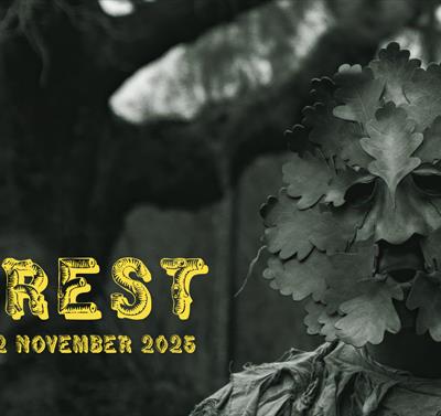 Forest exhibition