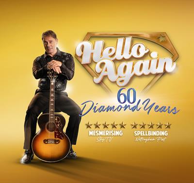 image of neil diamond