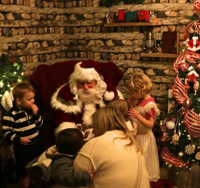 Christmas Woodland Wonderland