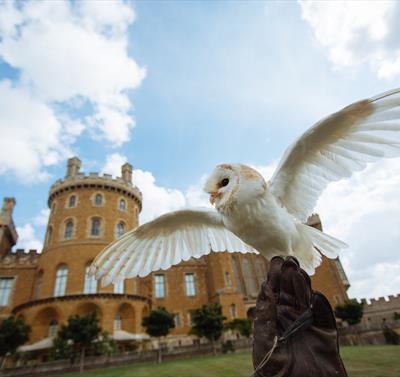 Belvoir Castle Landscape