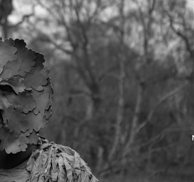 FOREST: Exhibition