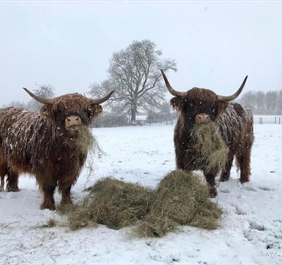 Manor Farm Park & Woodlands, Nottinghamshire
