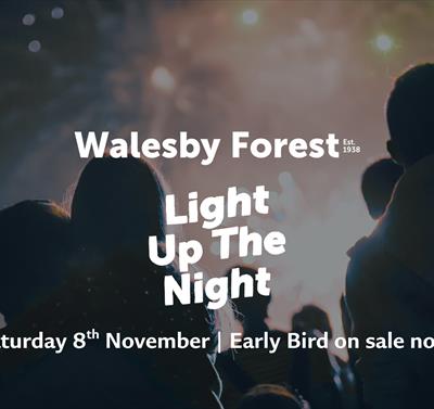 Light Up The Night Fireworks Display at Walesby Forest