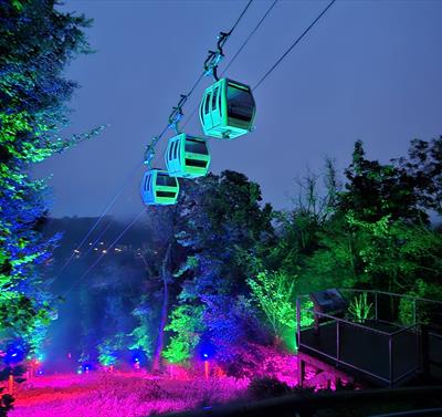 Photo of the cable cars lit up