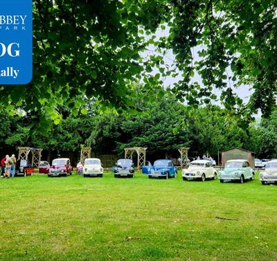 Line up of classic cars