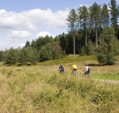 Adventure Pine Cycle Route