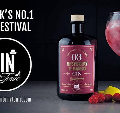 The Gin To My Tonic Gin, Rum & Vodka Festival
