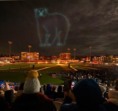 WILD: The Drone Light Show
