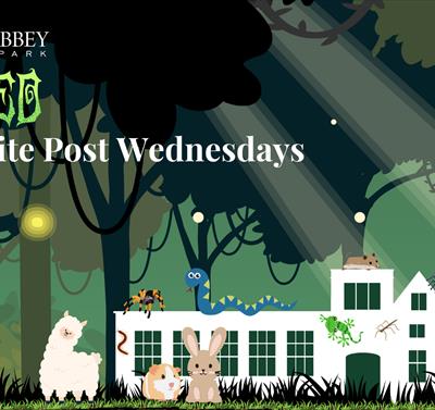 Wicked White Post Wednesdays