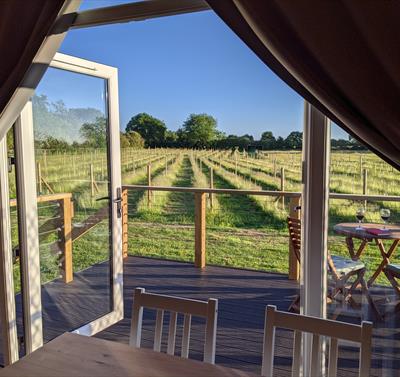 Wolds Wine Estate | Nottinghamshire