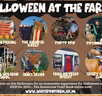 Halloween at the farm