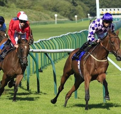 Grassroots Finals Day at Nottingham Racecourse
