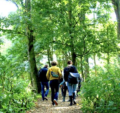 Photo of a group walking through a forest or wooded area