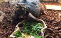 Stonebridge City Farm
