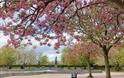 Victoria Embankment