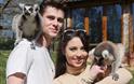 Tropical Butterfly House, Wildlife and Falconry Centre
