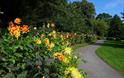 Nottingham Arboretum