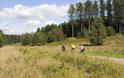 Adventure Pine Cycle Route