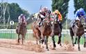 Southwell Racecourse
