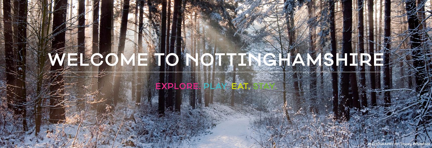 Snowy Sherwood Forest by Tracey Whitefoot Visit Nottinghamshire