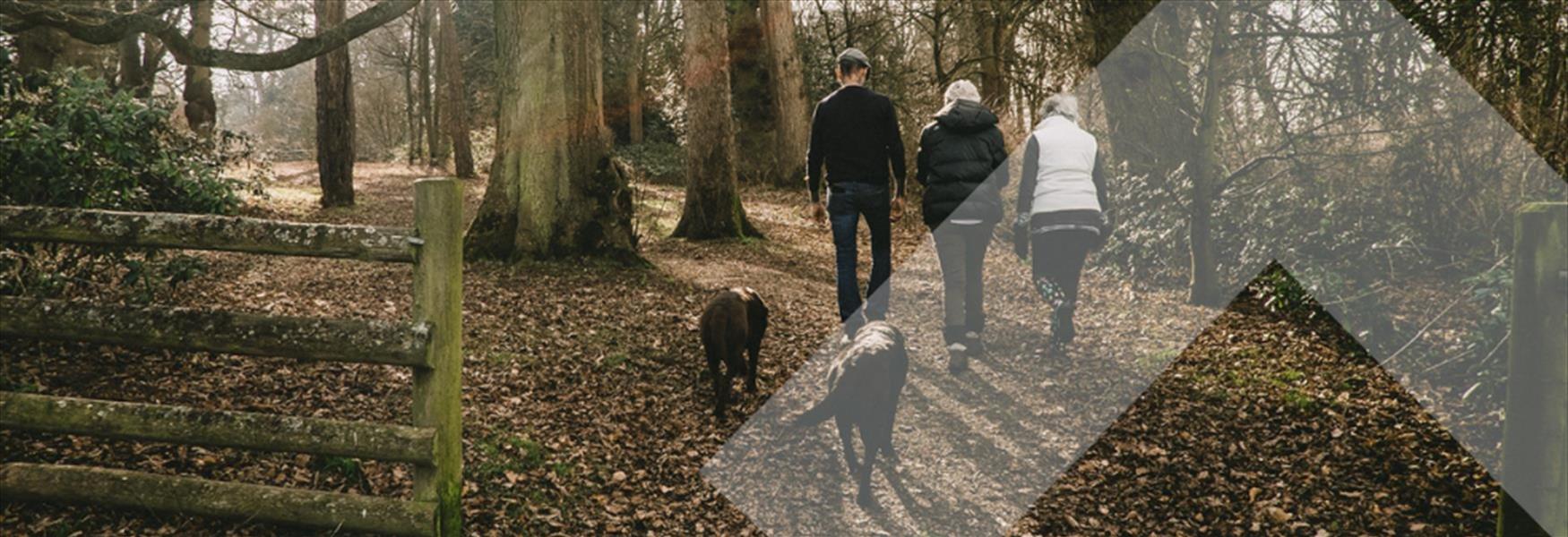 Pet Friendly venues in Nottingham and Nottinghamshire Visit Nottinghamshire