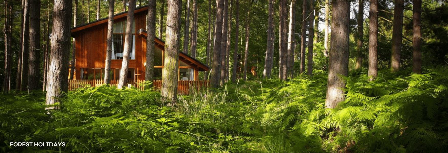 Photo of Forest Holidays luxury cabins