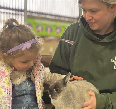 Mad Hatter's Spring Party
