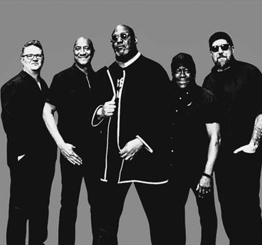 Tomás Doncker & The True Groove All-Stars
