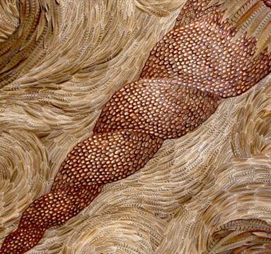 TALK: BUGS, BONES AND BIRDS