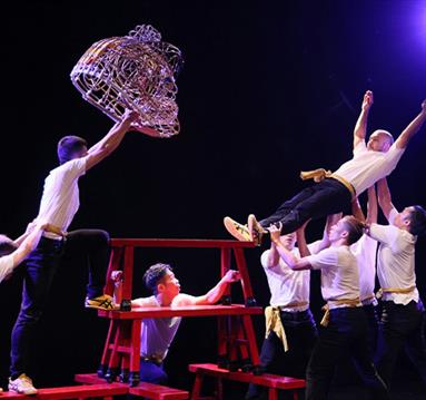 TS Crew NO DRAGON NO LION Image
