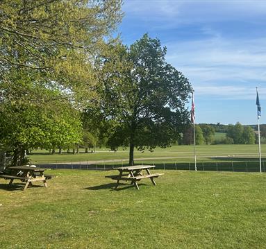 Benches and greenery at Thoresby Park