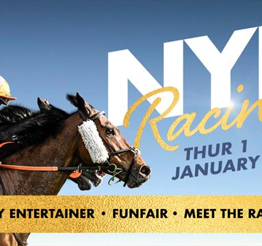 New Year's Day Racing
