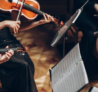 NTU String Sinfonia Live