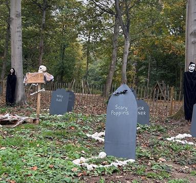 Halloween Trail at Thoresby Park
