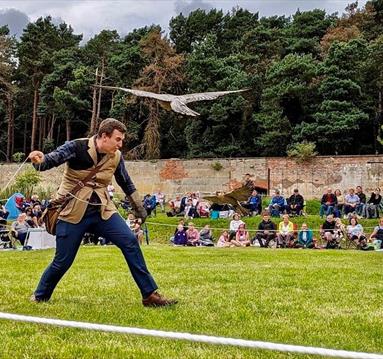 An afternoon picnic with Birds of Prey image