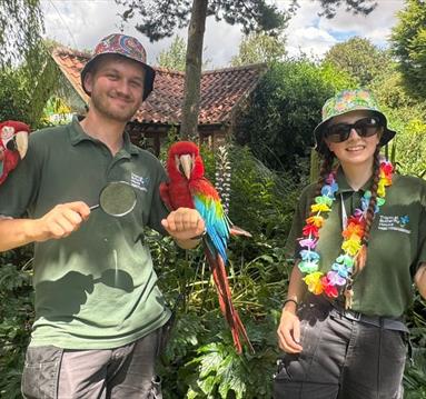 Tropical Treasures Trail
