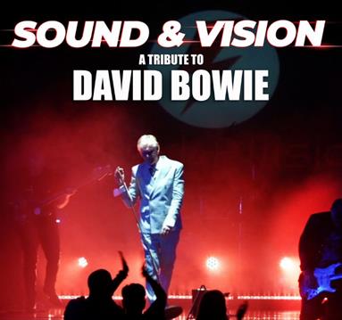 david bowie tribute