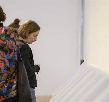 woman looking at an art exhibition