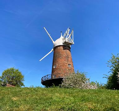 Green's windmill

