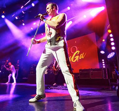 image of freddie mercury from queen